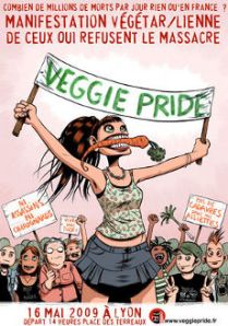 affiche-vp-2009-couleurs-petitjpg